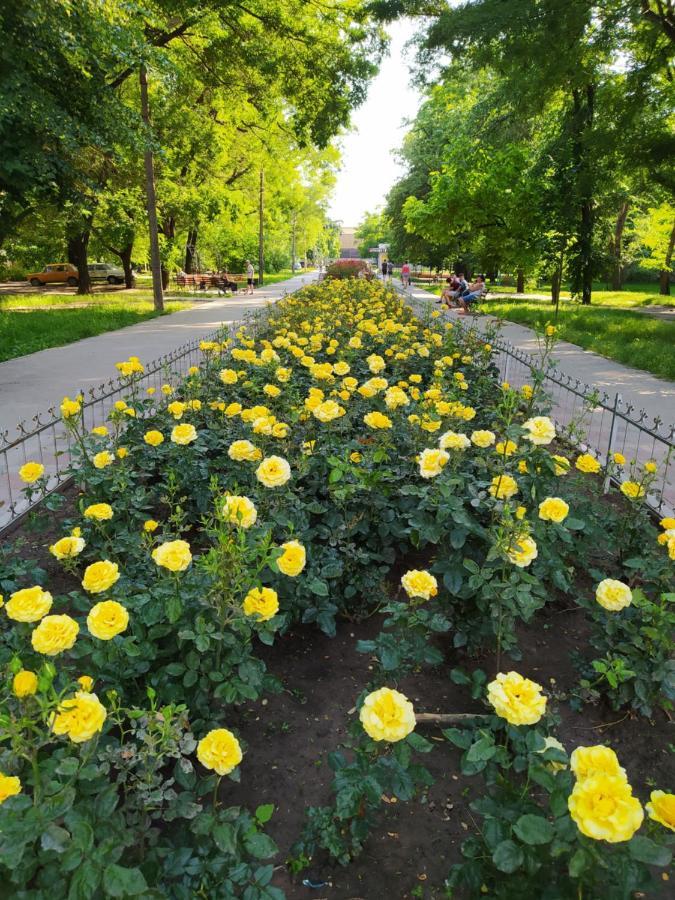 1-Комн. Квартира В Центре Возле Козак Палаца! Zaporizhia Exteriér fotografie
