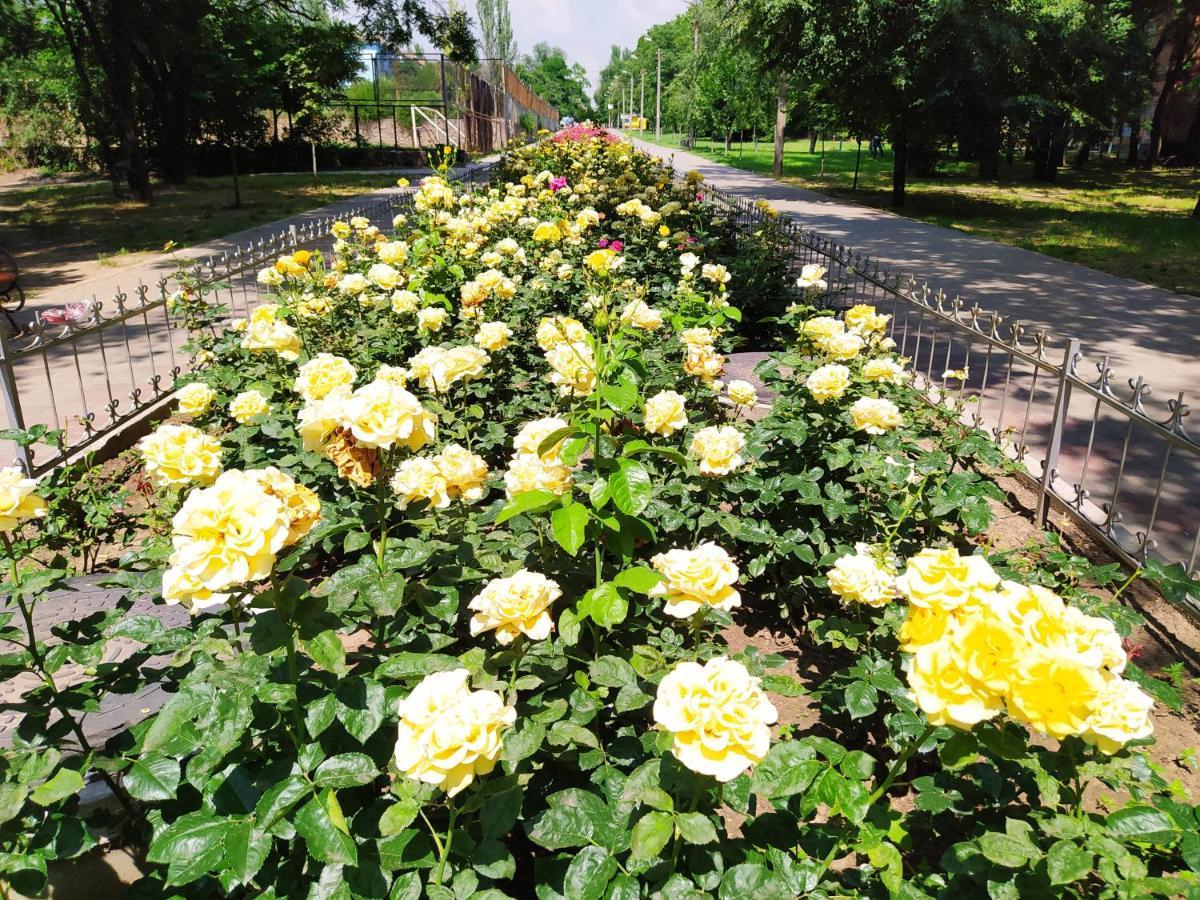 1-Комн. Квартира В Центре Возле Козак Палаца! Zaporizhia Exteriér fotografie